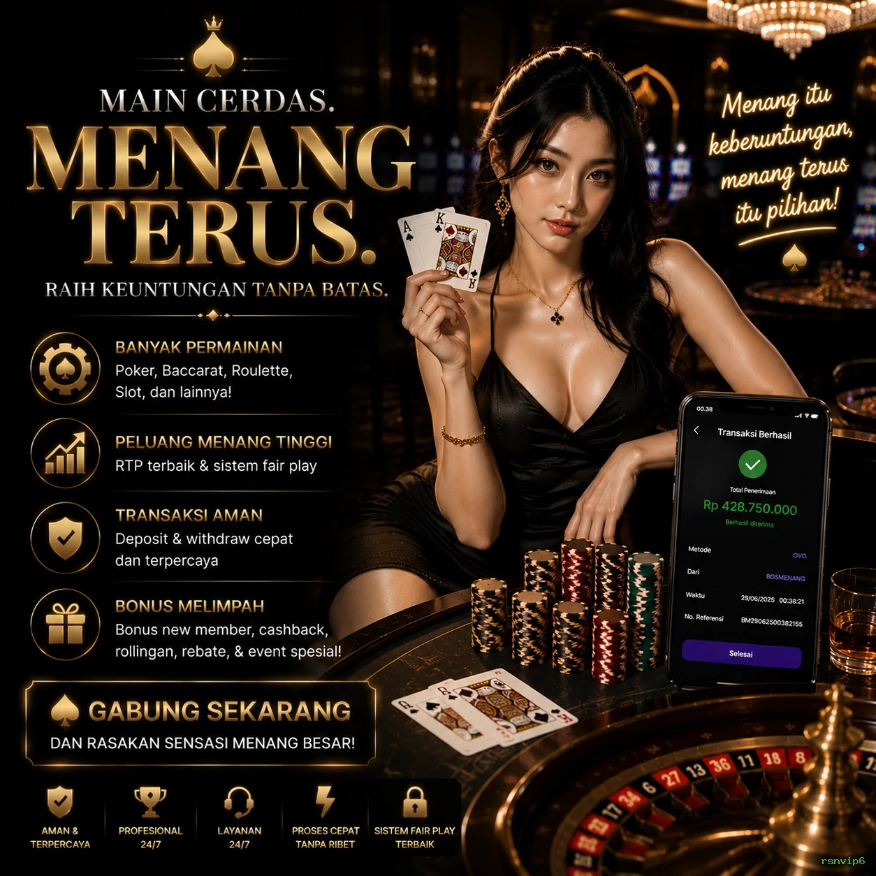 rsnvip6