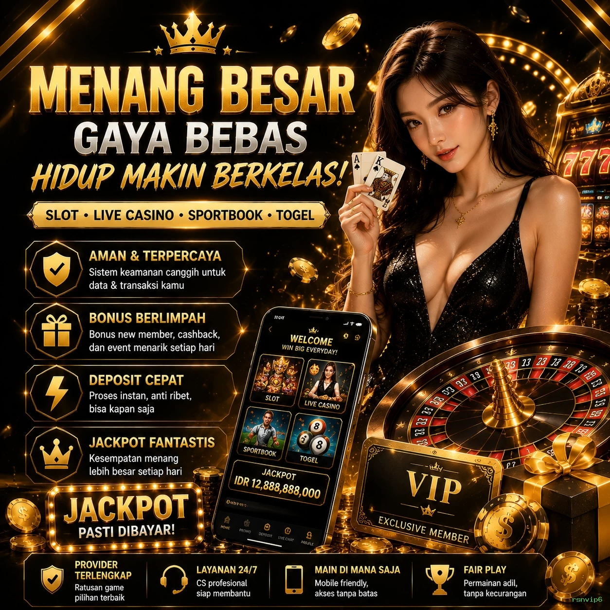 rsnvip6